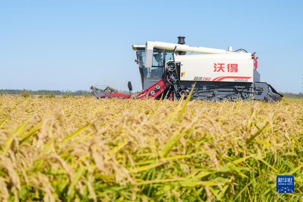 竞彩大2.5和大3有什么区别
